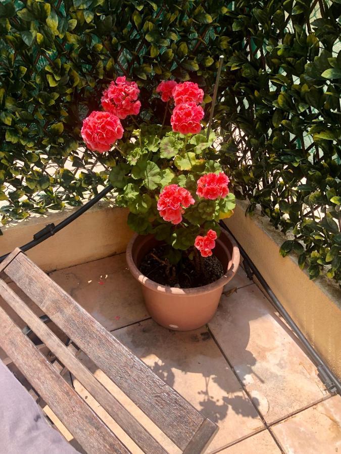 Mon Appart Avec Terrasse Et Piscine 罗克布吕讷-卡普马丹 外观 照片
